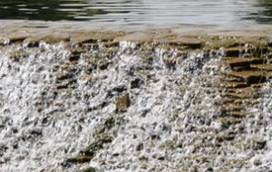Водойми